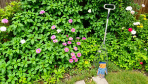 Grow a Garden Script: Så får du ett nyckellöst script